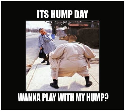 sexy happy hump day meme|35 Hump Day Memes to Laugh Through Wednesday